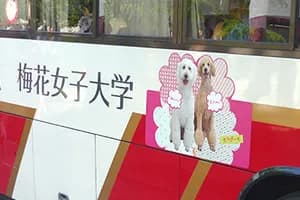 オリジナルマグネットシート制作実例 宣伝 たて630mm×よこ930mm