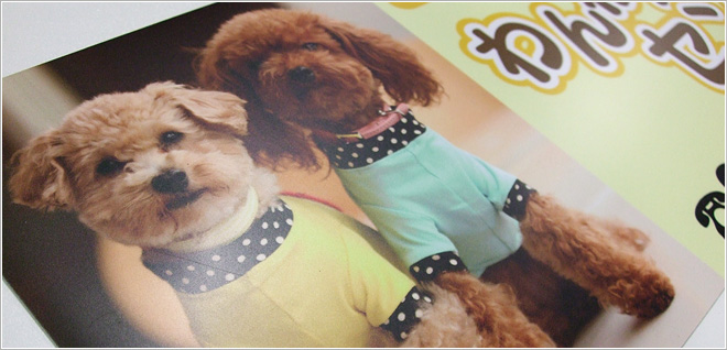 犬のカーマグネットをオーダーしてみては マグネットシート専門店