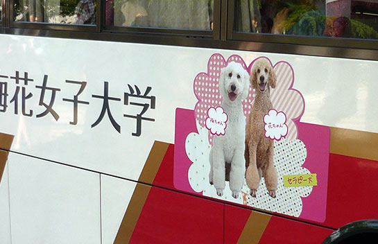 犬のカーマグネットをオーダーしてみては マグネットシート専門店